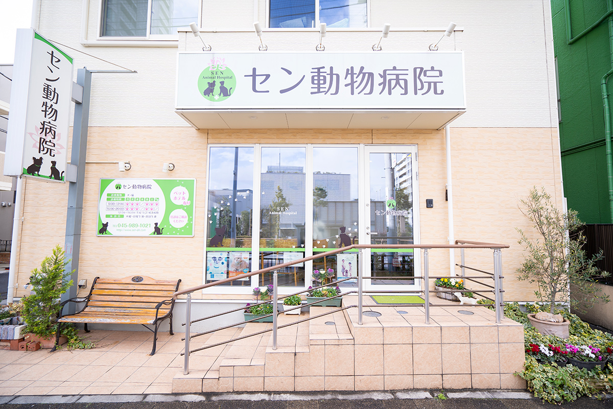 動物病院・トリミング　神奈川県