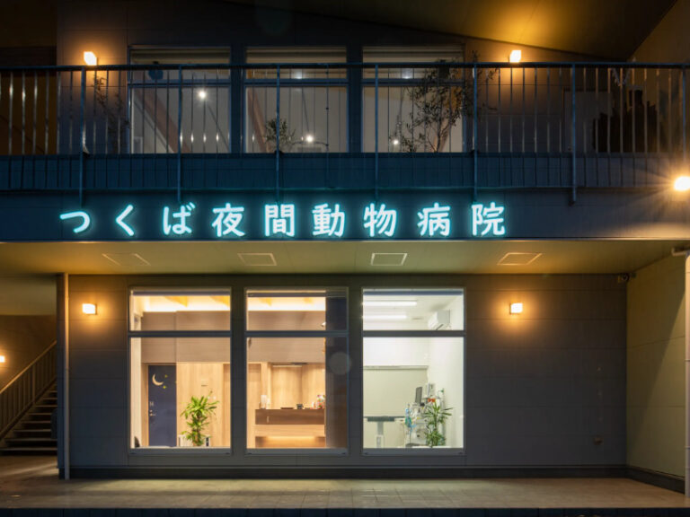 動物病院　茨城県