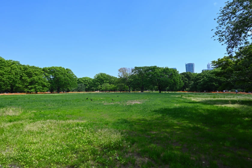 ドッグラン　東京都