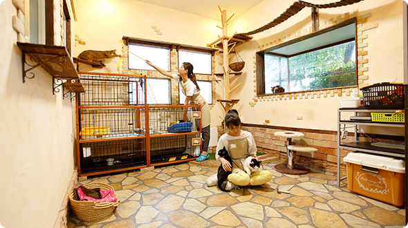 老犬ホーム　東京都